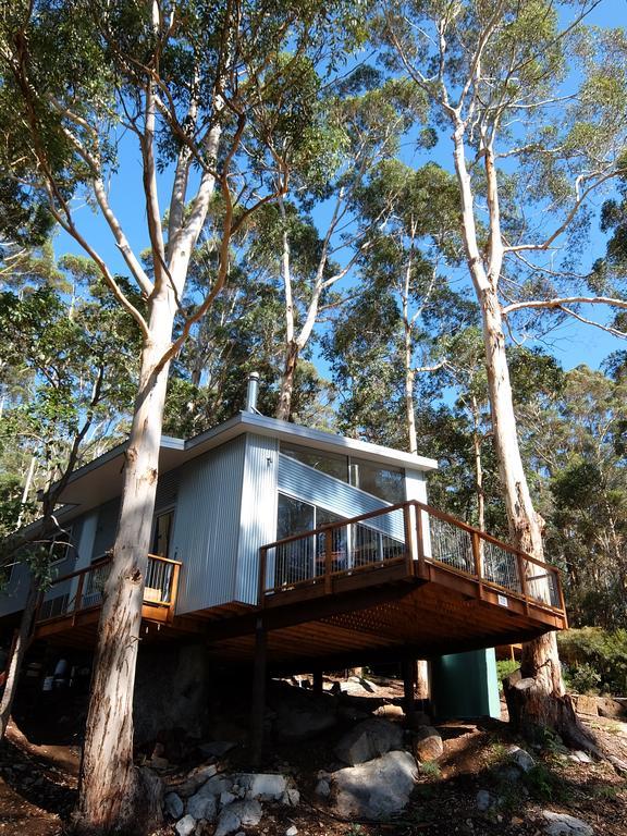 The Tree House Villa Denmark Kültér fotó